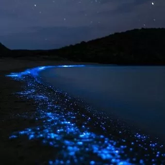 馬祖藍眼淚